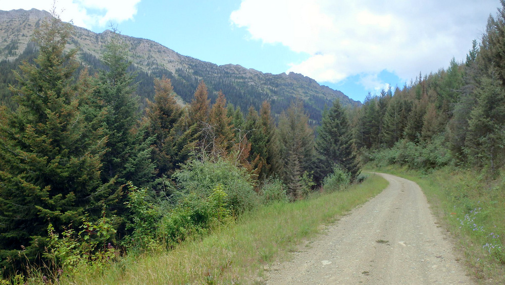 GDMBR: Climbing on NF-4353 towards Richmond Peak, MT.